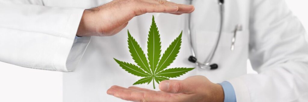 Cannabis domains for your online business success